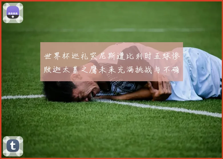 世界杯巡礼突尼斯遭比利时五球惨败迦太基之鹰未来充满挑战与不确定性